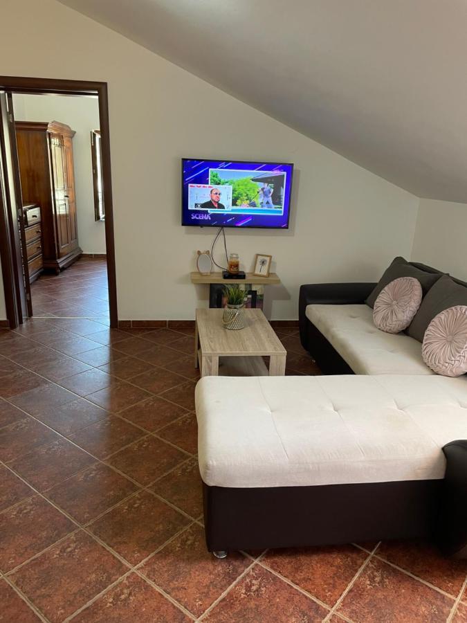 Apartment Atina Kotor Bagian luar foto
