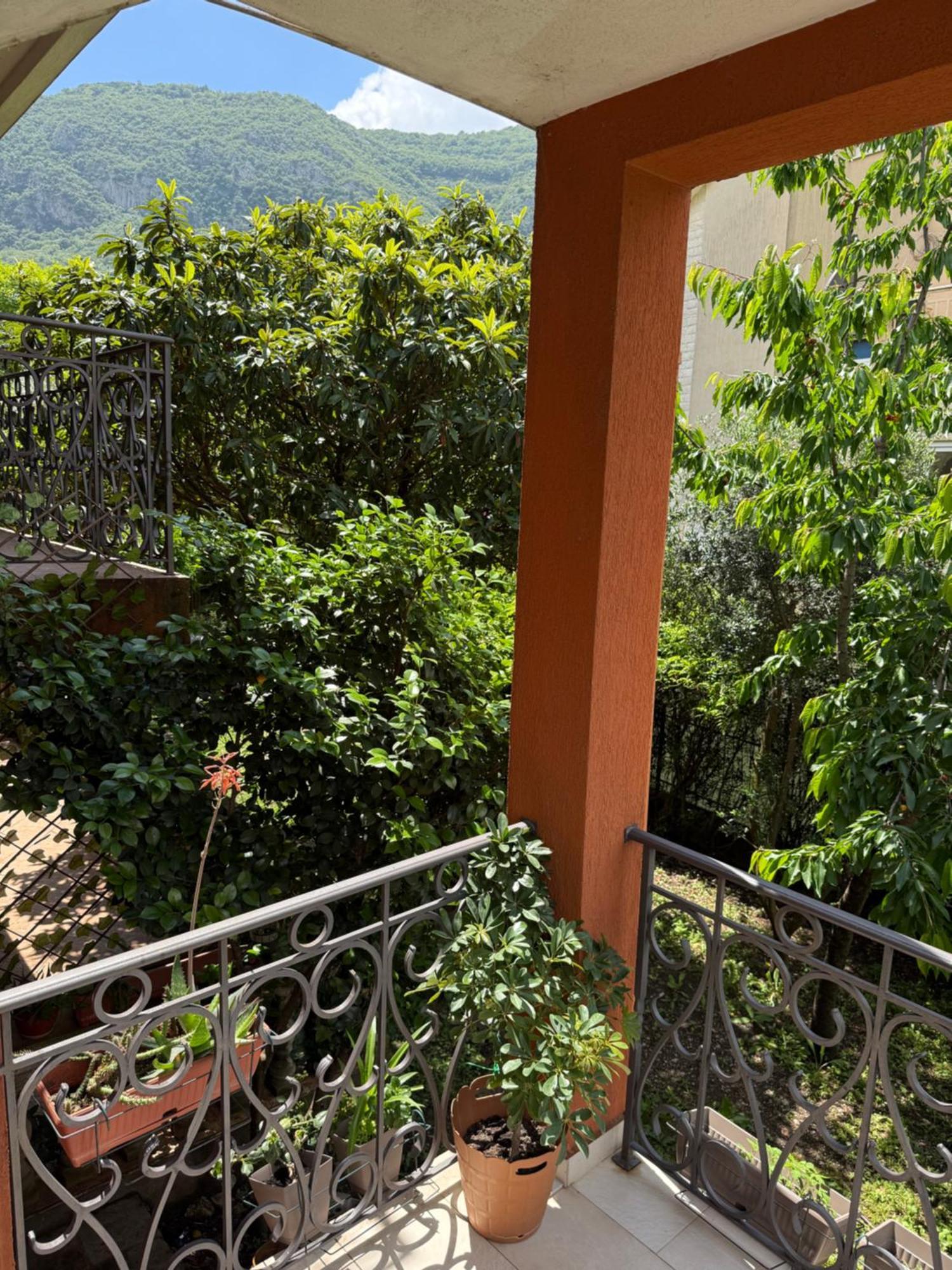 Apartment Atina Kotor Bagian luar foto